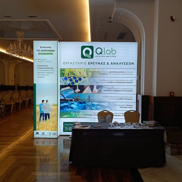 Led Backdrop 300x250